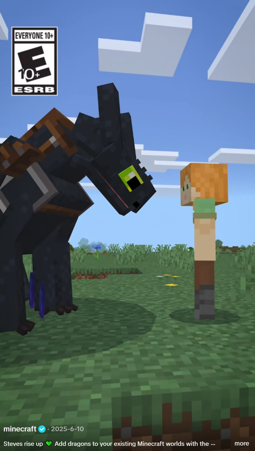 How To Train Your Dragon